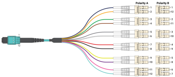 MPO-12-to-Six-Duplex-LC-595x263 MPO-12-to-Six-Duplex-LC-595x263