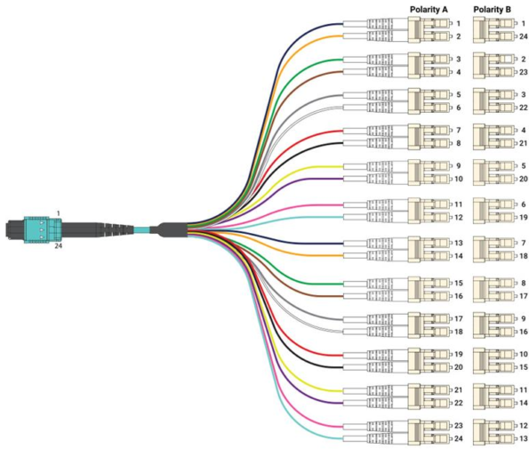 MPO-24-to-Twelve-Duplex-LC-595x505 MPO-24-to-Twelve-Duplex-LC-595x505