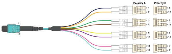 MPO-12-to-Four-Duplex-LC-595x187 MPO-12-to-Four-Duplex-LC-595x187
