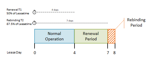 What-Is-a-DHCP-Lease What-Is-a-DHCP-Lease